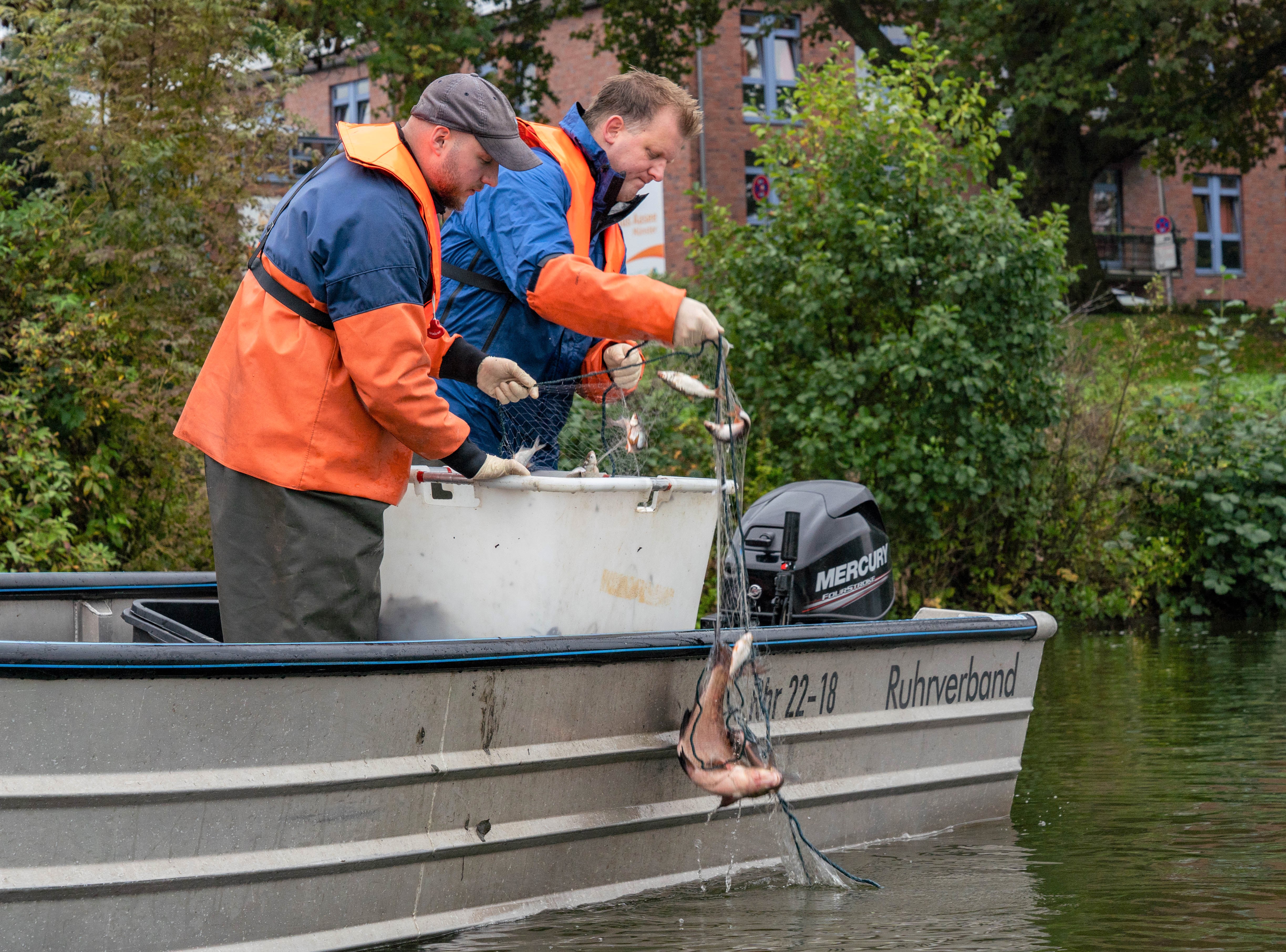 Zwei Männer in einem Boot auf dem Aasee nahe dem Ufer.