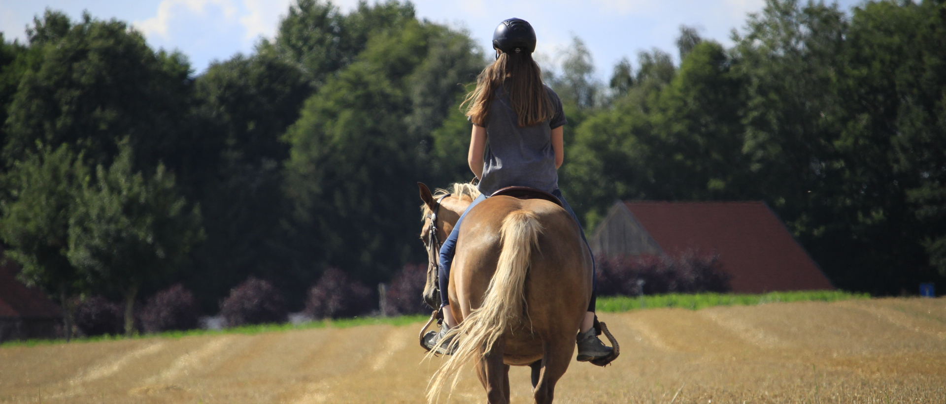 Ausritt in freier Landschaft