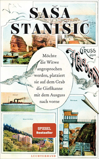 Buchcover Stanišić, Witwe