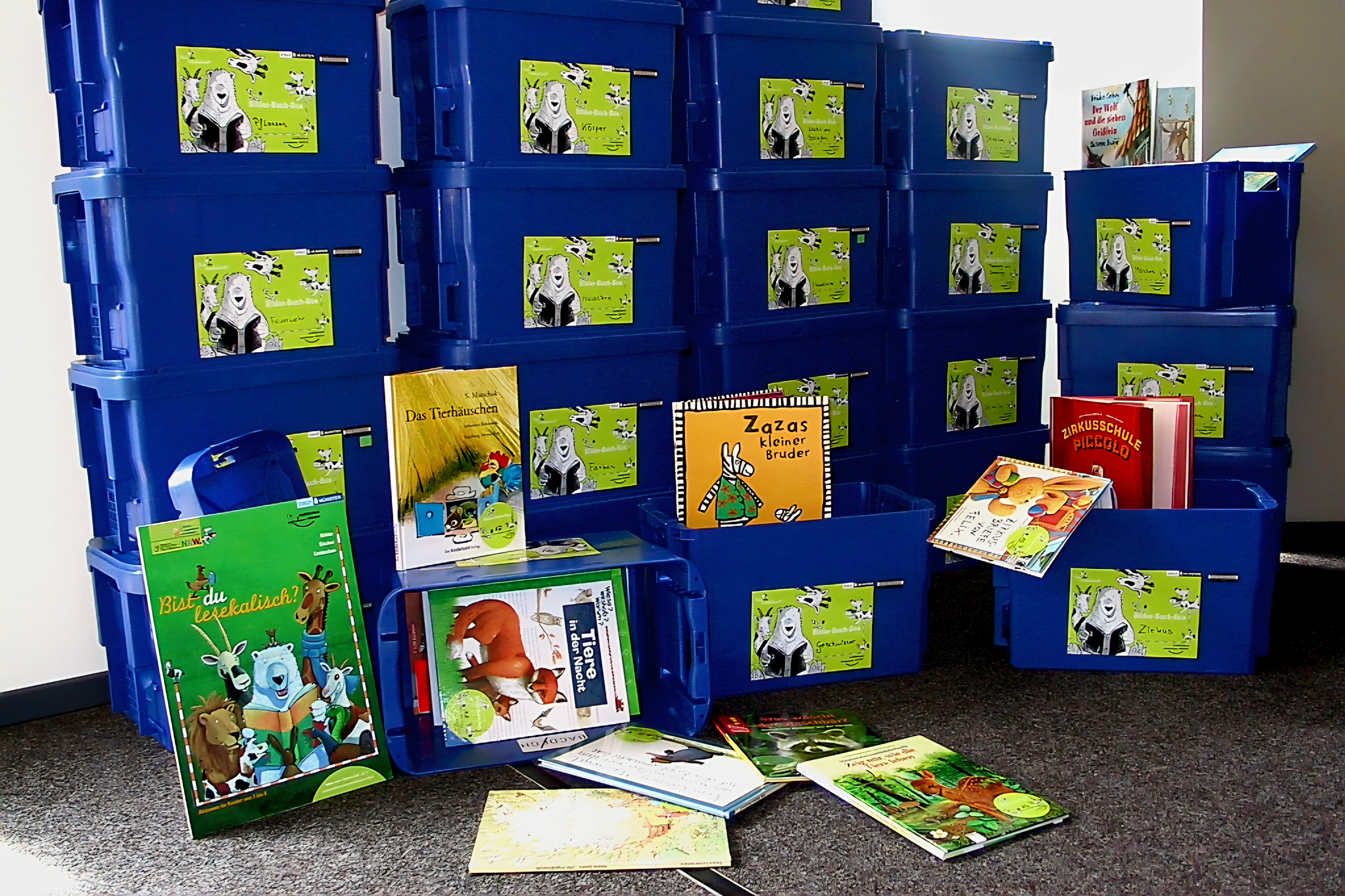 Boxen mit Bilderbüchern