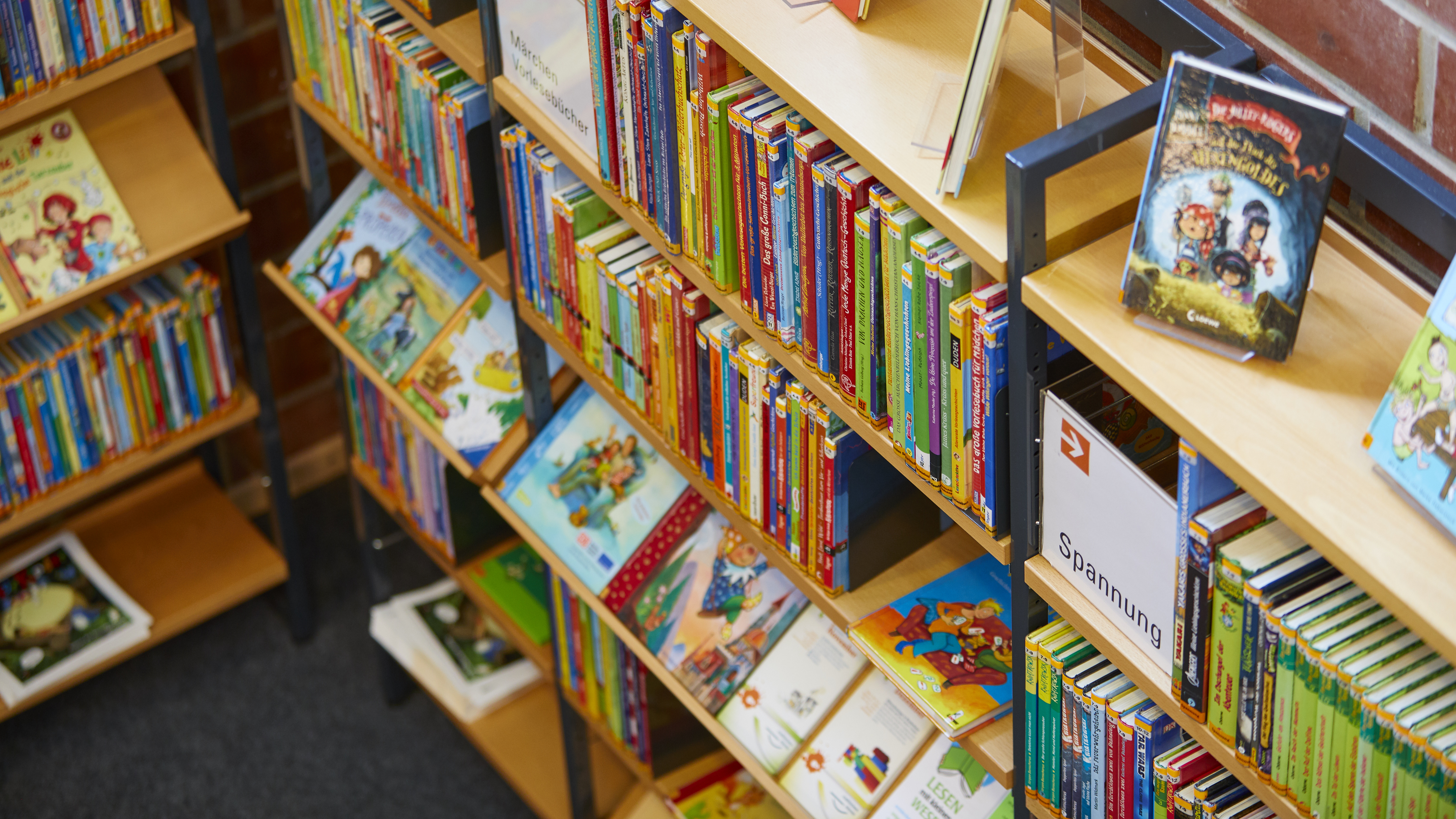 Bücherregal mit Büchern