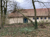 Foto vom umgefallenden Baum Waldschule Kinderhaus Turnhalle