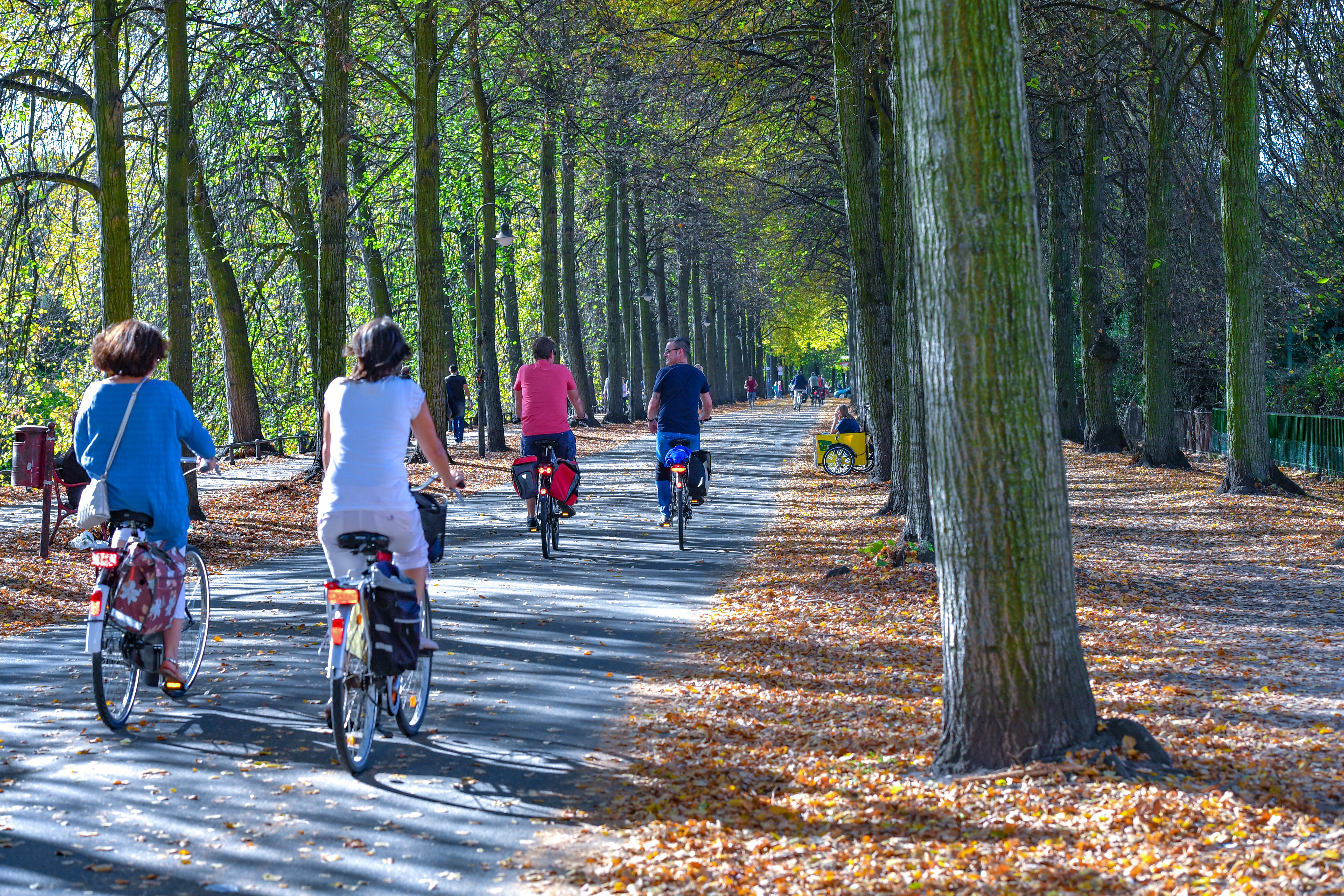 Radverkehr auf der Promenade