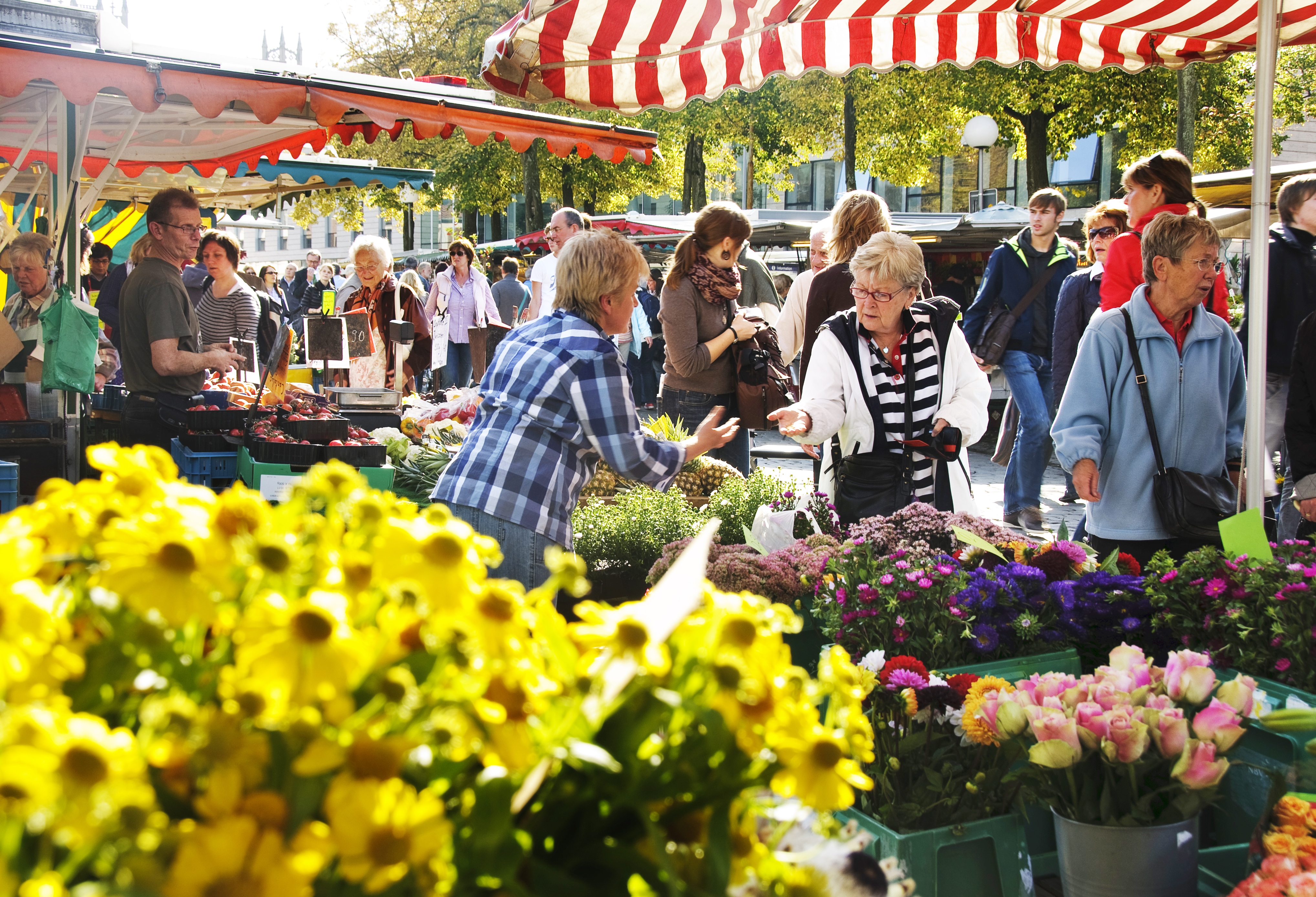 Wochenmarkt auf dem Domplatz