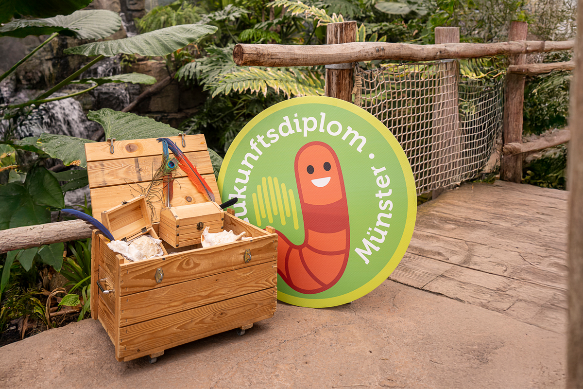 Foto aus dem inneren der Meranti-Halle im Allwetterzoo Münster. Zusehen ist eine Schatzkiste aus Holz, daneben tront das Logo des Zukunftsdiploms für Kinder. Im Hintergrund sieht man tropische Pflanzen.