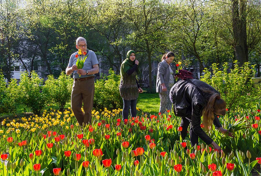 Selbstpflückbeet in der Grünschleife