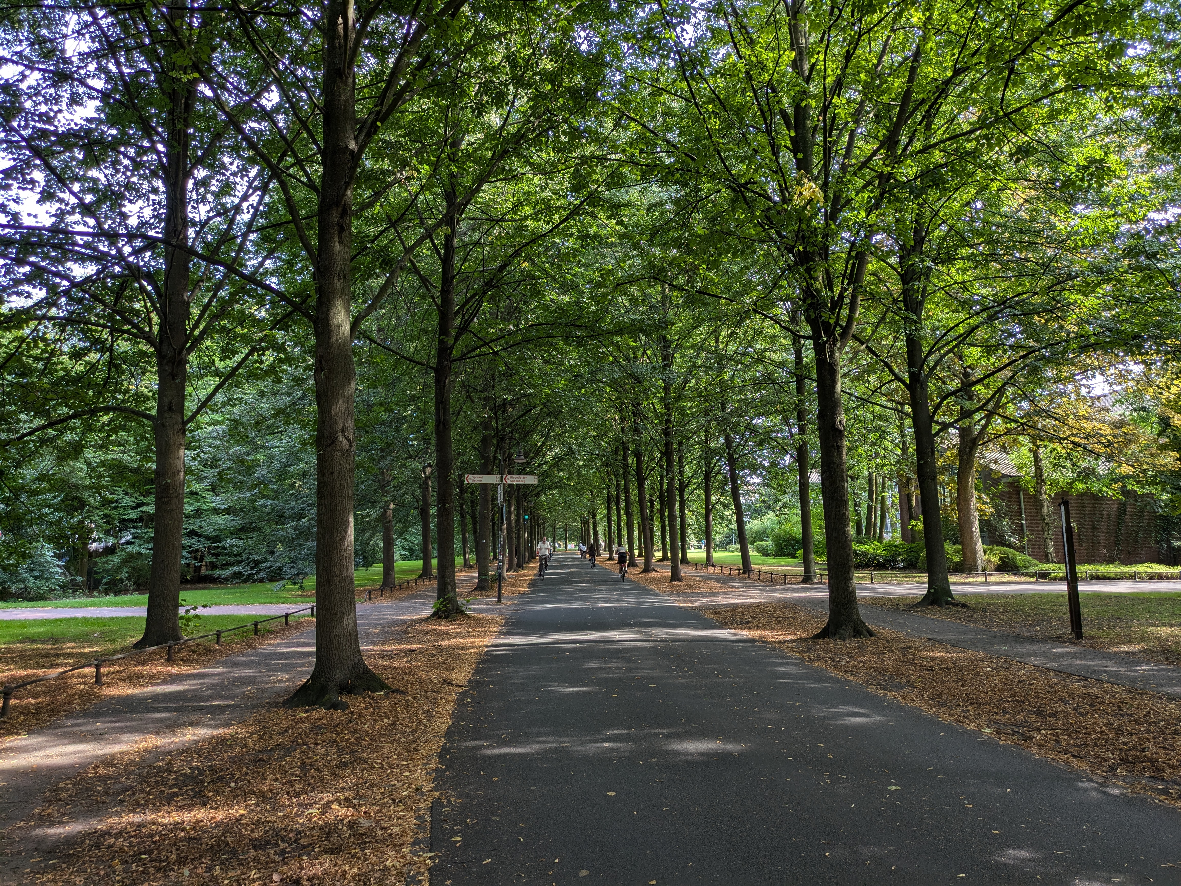 Promenade in Münster