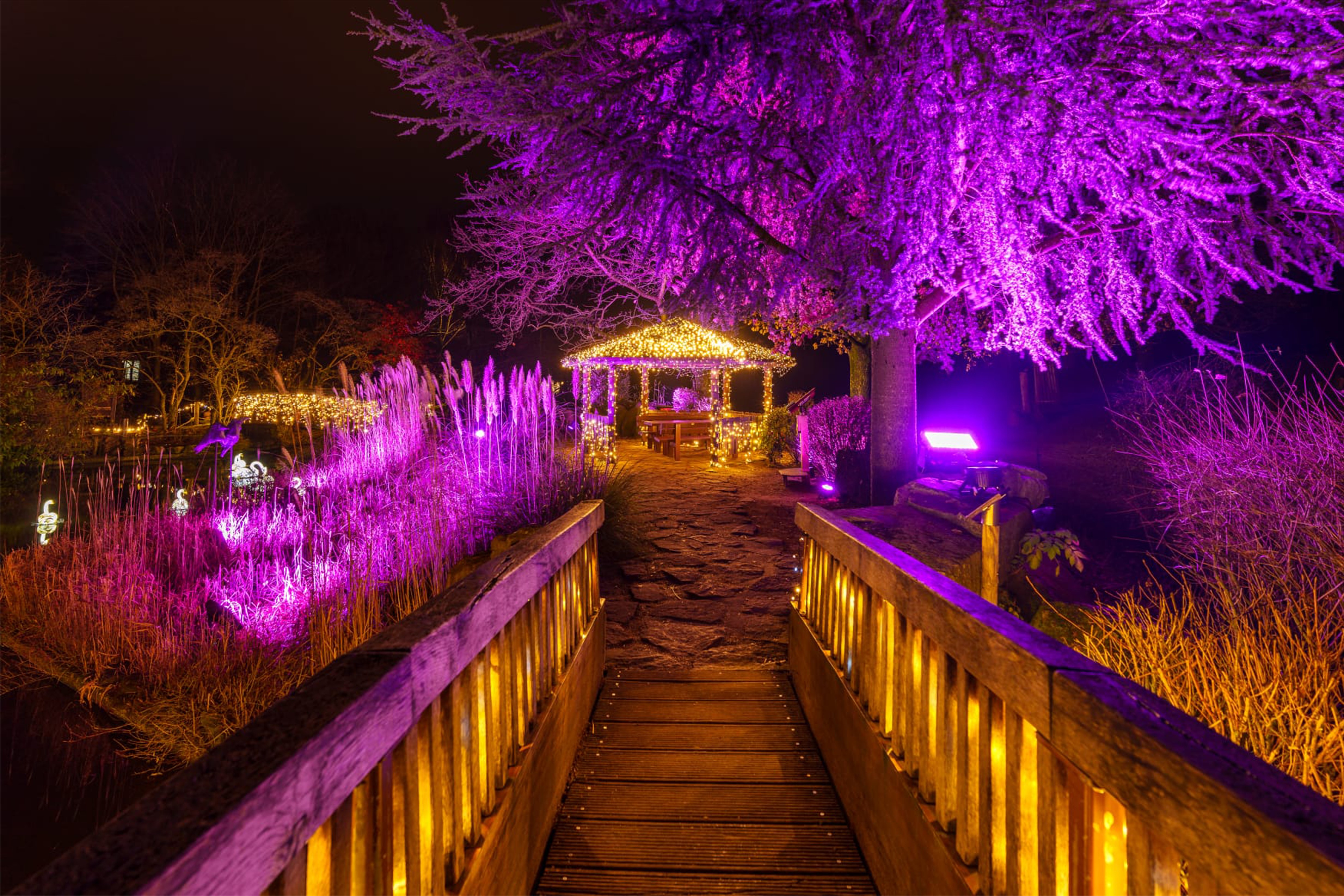 XMAS LIGHTS im Allwetterzoo Münster